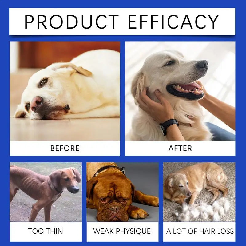 Dog Joint Supplement Pet Joint Relief Supplement Supplementing Nutrition Solution for Pet Health Nutrition Agent Pet Joint